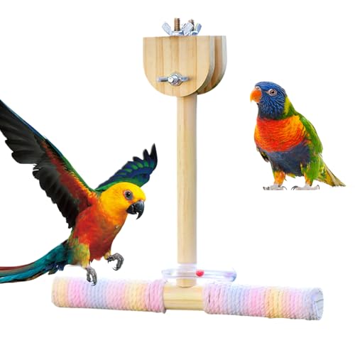 mivceklw Sittich Ständer | Vogel Baumwollseil Sitzstangen Schaukel Spielzeug - Interaktive Hängematte Für Sittiche Und Nymphensittiche Für Drinnen Und Draußen von mivceklw