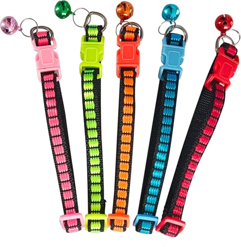 Katzenhalsband mit Sicherheitsverschluss 8 Stück, Hhalsband Katze mit Glöckchen, Verstellbar Kitten Halsband, Leuchtenden Farben Haustierzubehör für alle Hauskatzen (6 Farben) von mkemka