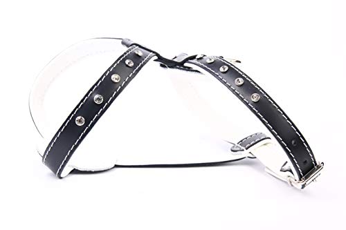 Moly Gurt Leder Luxury Glas, 60 cm Moly Gurt Leder Luxury Glas, 60 cm von Moly