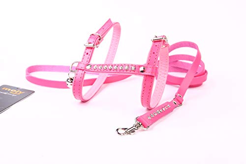 Moly Luxury Set Katze von Moly