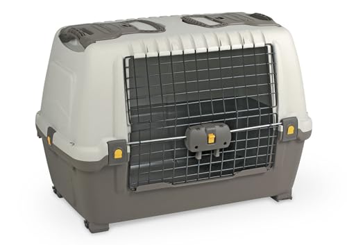 Transportbox – ideal für Werkzeuge und Ausrüstung, aus robustem Kunststoff, mit kompaktem Design und ergonomischen Griffen für einfachen Transport Transportbox – ideal für Werkzeuge und Ausrüstung, aus robustem Kunststoff, mit kompaktem Design und ergonomischen Griffen für einfachen Transport von monkey ladder