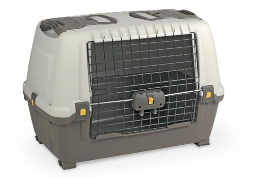 Transportbox – ideal für Werkzeuge und Ausrüstung, aus robustem Kunststoff, mit sicherem Verschluss und geeignetem Fassungsvermögen für einfachen Transport Transportbox – ideal für Werkzeuge und Ausrüstung, aus robustem Kunststoff, mit sicherem Verschluss und geeignetem Fassungsvermögen für einfachen Transport von monkey ladder