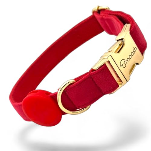 Luxus-Hundehalsband aus Samt mit Airtag-Halterung - Eleganz & Sicherheit für Ihren Vierbeiner in Allen Größen Luxus-Hundehalsband aus Samt mit Airtag-Halterung - Eleganz & Sicherheit für Ihren Vierbeiner in Allen Größen von moosh