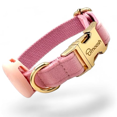 Luxus-Hundehalsband aus Samt mit Airtag-Halterung - Eleganz & Sicherheit für Ihren Vierbeiner in Allen Größen Luxus-Hundehalsband aus Samt mit Airtag-Halterung - Eleganz & Sicherheit für Ihren Vierbeiner in Allen Größen von moosh