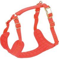 more LIFESTYLEPETS Nylon Geschirr M more LIFESTYLEPETS Nylon Geschirr M von more LIFESTYLEPETS