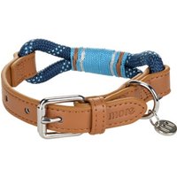 more LIFESTYLEPETS Tau-Halsband blau L more LIFESTYLEPETS Tau-Halsband blau L von more LIFESTYLEPETS