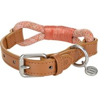 more LIFESTYLEPETS Tau-Halsband rot L more LIFESTYLEPETS Tau-Halsband rot L von more LIFESTYLEPETS