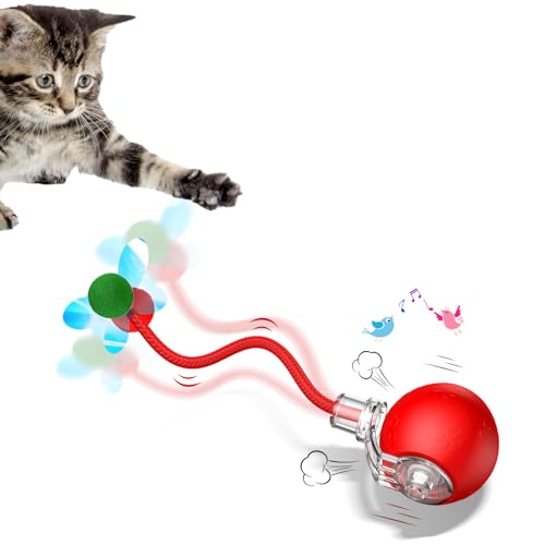 morhandisn Interaktiver Katzenball, intelligentes Katzenspielzeug, Rot morhandisn Interaktiver Katzenball, intelligentes Katzenspielzeug, Rot von morhandisn