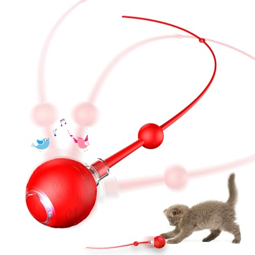 morhandisn Interaktives Katzenspielzeug, rot morhandisn Interaktives Katzenspielzeug, rot von morhandisn