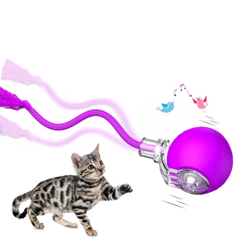 morhandisn Smart Interaktives Katzenballspielzeug, Automatisches Bewegliches Ballspielzeug für Indoor-Katze, schnelles Rollen auf Teppich, Zwitschern & Bewegungsaktivieren Katzenspielzeug, Katzen morhandisn Smart Interaktives Katzenballspielzeug, Automatisches Bewegliches Ballspielzeug für Indoor-Katze, schnelles Rollen auf Teppich, Zwitschern & Bewegungsaktivieren Katzenspielzeug, Katzen von morhandisn