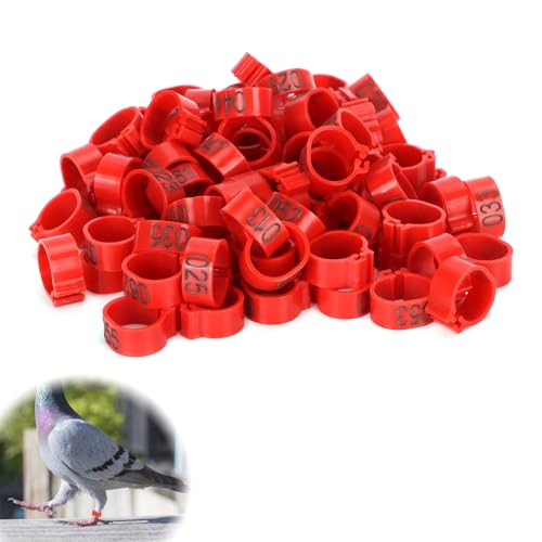 Hühnerbeinringe, 100 Stück GeflüGel FußRinge Geflügelbeinring Vogelbeinbänder Fußring 001‑100 Nummerierter Taubenring für Hühnchen Zwerghuhn Finken Taube Wellensittich Kleines Geflügel (12mm) Hühnerbeinringe, 100 Stück GeflüGel FußRinge Geflügelbeinring Vogelbeinbänder Fußring 001‑100 Nummerierter Taubenring für Hühnchen Zwerghuhn Finken Taube Wellensittich Kleines Geflügel (12mm) von mumisuto