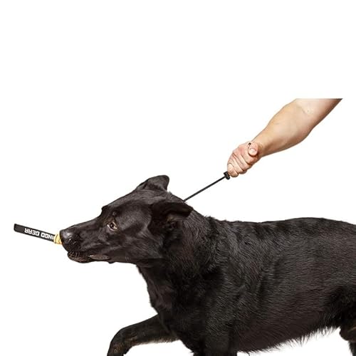 Muzoira Explosionsgeschütztes Nylon-Zugseil für mittelgroße und große Hunde, verstellbare P-Kette für sicheres Training (L-55 cm) von muzoira