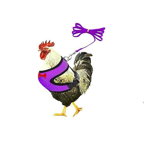 Muzoira Verstellbarer Nylon-Brustgurt für Geflügel und kleine Haustiere, bequem, atmungsaktiv, Zugseil für Huhn, Ente, Gans, Katze und Hund, Größe S, Lila Muzoira Verstellbarer Nylon-Brustgurt für Geflügel und kleine Haustiere, bequem, atmungsaktiv, Zugseil für Huhn, Ente, Gans, Katze und Hund, Größe S, Lila von muzoira