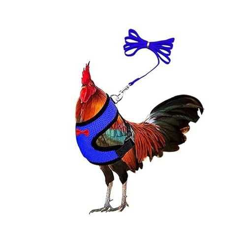 Muzoira Verstellbarer Nylon-Brustgurt für Geflügel und kleine Haustiere, bequemes, atmungsaktives Zugseil für Huhn, Ente, Gans, Katze und Hund, Größe M, Blau Muzoira Verstellbarer Nylon-Brustgurt für Geflügel und kleine Haustiere, bequemes, atmungsaktives Zugseil für Huhn, Ente, Gans, Katze und Hund, Größe M, Blau von muzoira
