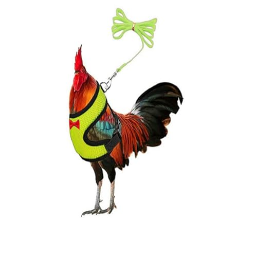 Muzoira Verstellbarer Nylon-Brustgurt für Geflügel und kleine Haustiere, bequemes, atmungsaktives Zugseil für Huhn, Ente, Gans, Katze und Hund, Größe M, Gelb Muzoira Verstellbarer Nylon-Brustgurt für Geflügel und kleine Haustiere, bequemes, atmungsaktives Zugseil für Huhn, Ente, Gans, Katze und Hund, Größe M, Gelb von muzoira