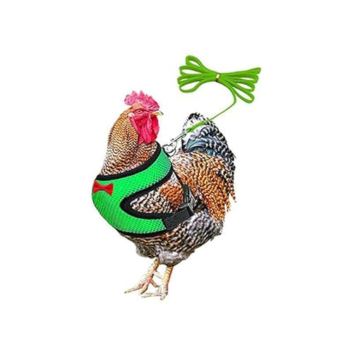 Muzoira Verstellbarer Nylon-Brustgurt für Geflügel und kleine Haustiere, bequemes, atmungsaktives Zugseil für Huhn, Ente, Gans, Katze und Hund, Größe M, Grün Muzoira Verstellbarer Nylon-Brustgurt für Geflügel und kleine Haustiere, bequemes, atmungsaktives Zugseil für Huhn, Ente, Gans, Katze und Hund, Größe M, Grün von muzoira