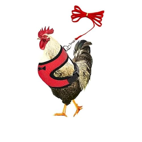 Muzoira Verstellbarer Nylon-Brustgurt für Geflügel und kleine Haustiere, bequemes, atmungsaktives Zugseil für Huhn, Ente, Gans, Katze und Hund, Größe M, Rot Muzoira Verstellbarer Nylon-Brustgurt für Geflügel und kleine Haustiere, bequemes, atmungsaktives Zugseil für Huhn, Ente, Gans, Katze und Hund, Größe M, Rot von muzoira