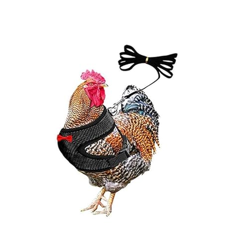 Muzoira Verstellbarer Nylon-Brustgurt für Geflügel und kleine Haustiere, bequemes, atmungsaktives Zugseil für Huhn, Ente, Gans, Katze und Hund, Größe M, Schwarz Muzoira Verstellbarer Nylon-Brustgurt für Geflügel und kleine Haustiere, bequemes, atmungsaktives Zugseil für Huhn, Ente, Gans, Katze und Hund, Größe M, Schwarz von muzoira