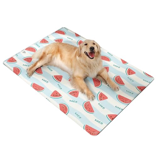 muzoira Kühlmatte für Hunde und Katzen – Sommer-Eiskissen-Bett mit Gel-Eisbeutel für heißes Wetter (Kühlwassermelone, 50 x 70 cm) von muzoira