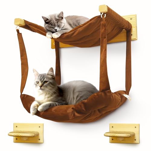 my HANA Kletterwand Katzen Set Kiefernholz | Hängematte Katze 3 Farbvarianten| 2X Katzentreppe Wand | Katzen Wandelemente Set| Katzenmöbel | Katzewandliege| Katzenbett | Wandkratzbaum | Katzenwand von my HANA