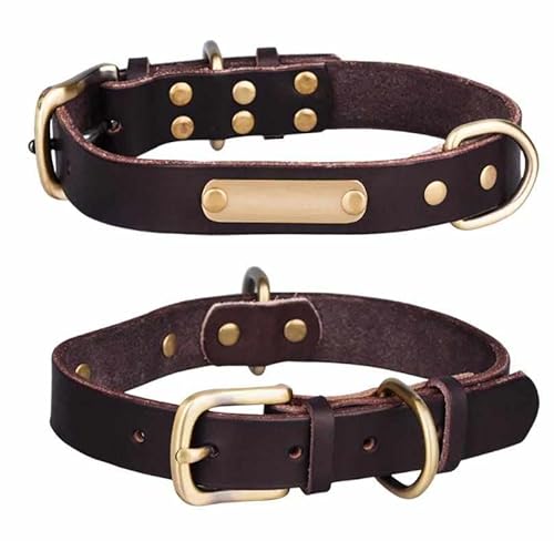 Echtleder Hundehalsband mit Messingschnalle in Vier Farben und gratis Gravur Name und Telefon Braun/L von mypfote.com