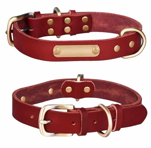 Echtleder Hundehalsband mit Messingschnalle in Vier Farben und gratis Gravur Name und Telefon Dunkelrot/L von mypfote.com
