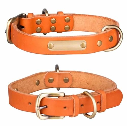 Echtleder Hundehalsband mit Messingschnalle in Vier Farben und gratis Gravur Name und Telefon Orange/L von mypfote.com