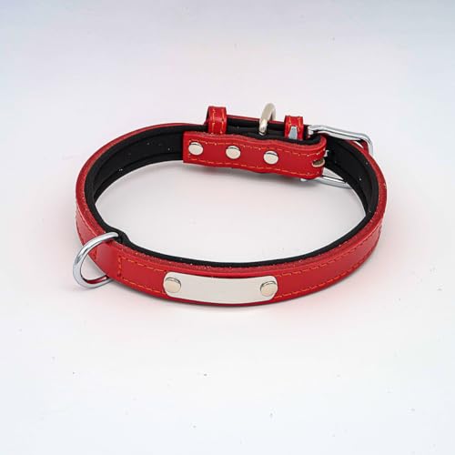 Hundehalsband mit Namen aus hochwertigem Leder, Innenpolsterung L 37-47cm / Rot von mypfote.com