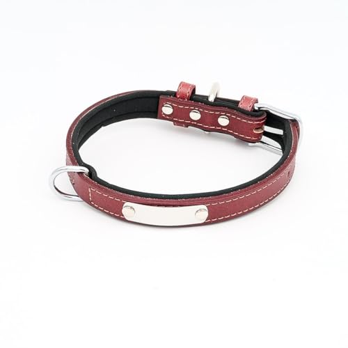 Hundehalsband mit Namen aus hochwertigem Leder, Innenpolsterung M 29-38cm / Braun von mypfote.com