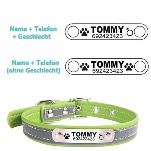Hundehalsband mit Namen und Telefon graviert. Reflektierend Grün/S 26-32cm von mypfote.com