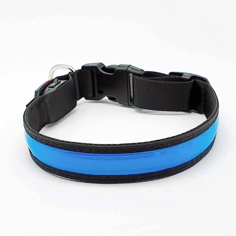 LED Hundehalsband, Stabiles Nylon Halsband für Hunde zum Aufladen – Blau / M 40-50cm von mypfote.com