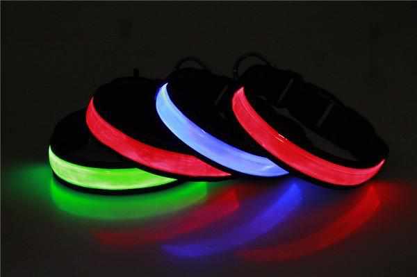 LED Hundehalsband, Stabiles Nylon Halsband für Hunde zum Aufladen – Farbe: Blau / Größe: S 30-40cm von mypfote.com