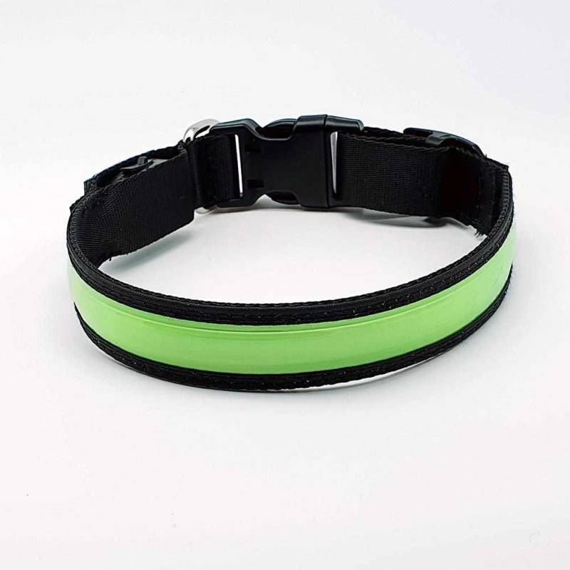 LED Hundehalsband, Stabiles Nylon Halsband für Hunde zum Aufladen – Grün / L 50-60cm von mypfote.com