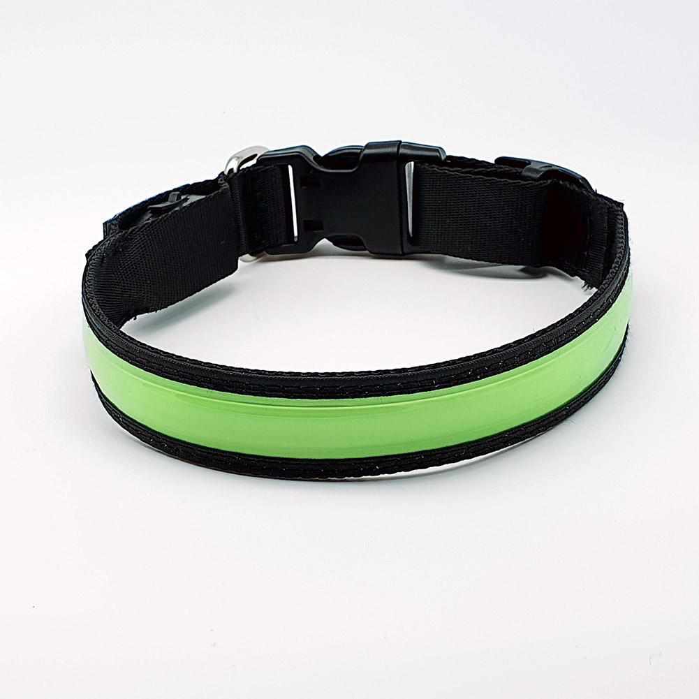 LED Hundehalsband, Stabiles Nylon Halsband für Hunde zum Aufladen – Grün / S 30-40cm LED Hundehalsband, Stabiles Nylon Halsband für Hunde zum Aufladen – Grün / S 30-40cm von mypfote.com