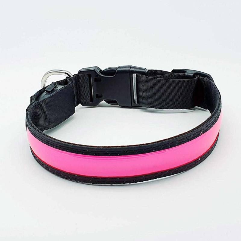 LED Hundehalsband, Stabiles Nylon Halsband für Hunde zum Aufladen – Pink / M 40-50cm von mypfote.com