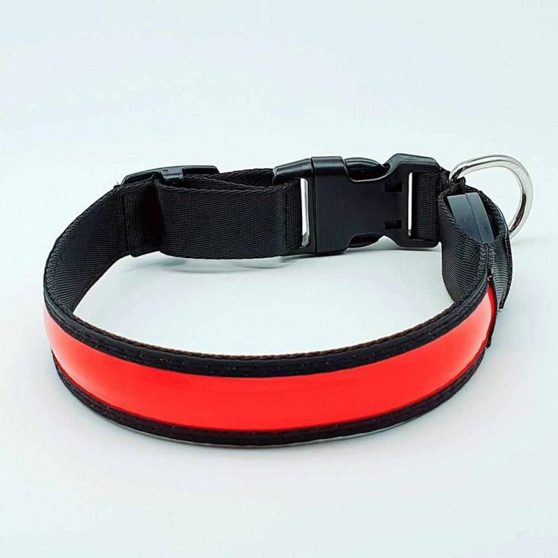 LED Hundehalsband, Stabiles Nylon Halsband für Hunde zum Aufladen – Rot / M 40-50cm von mypfote.com