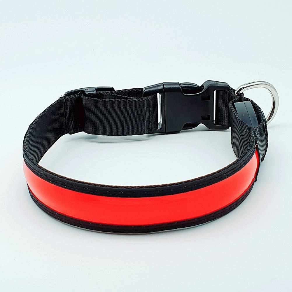 LED Hundehalsband, Stabiles Nylon Halsband für Hunde zum Aufladen – Rot / S 30-40cm LED Hundehalsband, Stabiles Nylon Halsband für Hunde zum Aufladen – Rot / S 30-40cm von mypfote.com