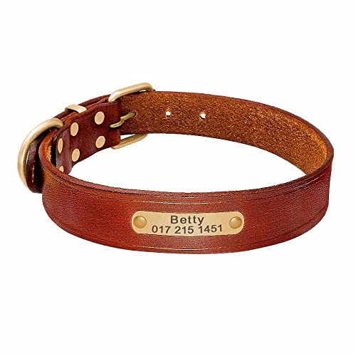 Leder Hundehalsband mit goldfarbener Marke, Gravur Name und Telefon L 42-52cm / Braun von mypfote.com