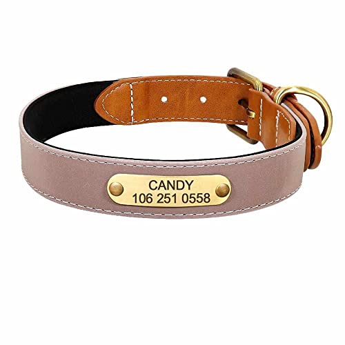 Wunderschönes Reflektions Hundehalsband mit Namen graviert M 28-36cm / Kaffeebraun von mypfote.com