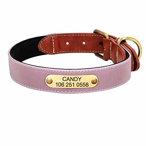 Wunderschönes Reflektions Hundehalsband mit Namen graviert M 28-36cm / Pink von mypfote.com