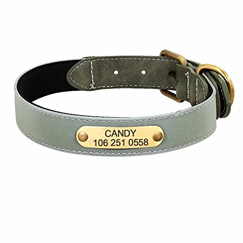 mypfote.com Wunderschönes Reflektions Hundehalsband mit Namen graviert Grün/S 26-32cm mypfote.com Wunderschönes Reflektions Hundehalsband mit Namen graviert Grün/S 26-32cm von mypfote.com