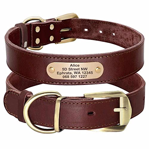 mypfote.com Edles Hundehalsband aus Rindsleder mit Gravur von Name und Telefon, für mittlere und große Hunde Farbe Braun/Größe L 43-55cm von mypfote.com