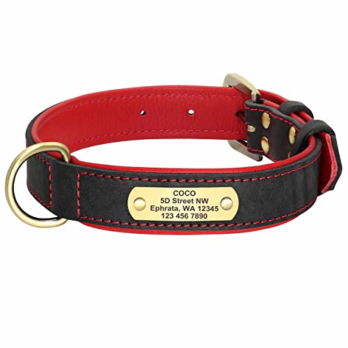 mypfote.com Exklusives Leder Hundehalsband mit großer Gravurplatte und gratis Gravur von Name und Telefon, für mittlere und große Hunde Schwarz/L 43-55cm mypfote.com Exklusives Leder Hundehalsband mit großer Gravurplatte und gratis Gravur von Name und Telefon, für mittlere und große Hunde Schwarz/L 43-55cm von mypfote.com
