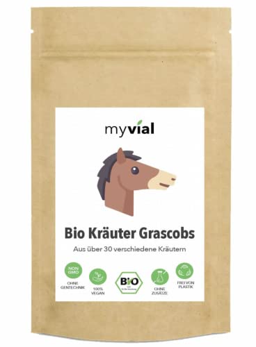 Bio Kräuter-Grascobs 3 kg – Heucobs mit 30 Kräutern aus Deutschland – Leckerli & Ergänzungsfutter für Pferde, Schafe, Kaninchen & Nager – Wiesencobs mit Grassamen & Wiesenflakes von myvial
