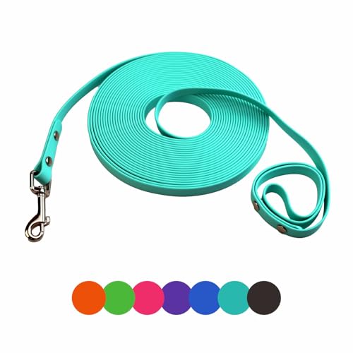 Hundetrainingsleine, leicht zu reinigen, wasserdicht, lange Hundeleine, robuste Schleppleine für Hunde, 1,8 m, 3 m, 4,6 m, 9,1 m, 15,2 m, für Wandern, Hof, Strand und Schwimmen, Mintgrün, 90 cm Hundetrainingsleine, leicht zu reinigen, wasserdicht, lange Hundeleine, robuste Schleppleine für Hunde, 1,8 m, 3 m, 4,6 m, 9,1 m, 15,2 m, für Wandern, Hof, Strand und Schwimmen, Mintgrün, 90 cm von myyAA