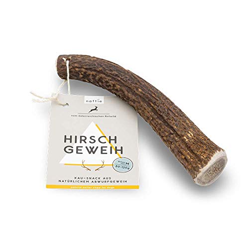 naftie Hirschgeweih Geweihstück ganz - Geweih Horn - XXL für sehr große Hunde - Abwurfstange vom Rothirsch - geruchsarm & langlebig naftie Hirschgeweih Geweihstück ganz - Geweih Horn - XXL für sehr große Hunde - Abwurfstange vom Rothirsch - geruchsarm & langlebig von naftie