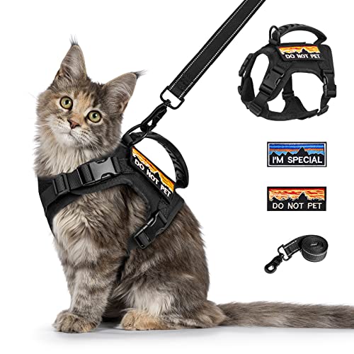nanappice Taktisches Katzengeschirr und Leine zum Spazierengehen, esakpe-sicher, verstellbar, weiches Netzgewebe, große Katzenweste mit Gummigriff, leicht zu kontrollieren, Molle-Pfade schwarz nanappice Taktisches Katzengeschirr und Leine zum Spazierengehen, esakpe-sicher, verstellbar, weiches Netzgewebe, große Katzenweste mit Gummigriff, leicht zu kontrollieren, Molle-Pfade schwarz von nanappice