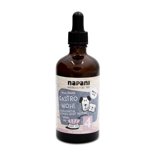 napani GastroWohl Magen-Tinktur für Hunde & Katzen, zur Pflege der Magenschleimhaut, Ergänzungsfuttermittel für Hunde OHNE Alkohol, bei Magenverstimmungen, Appetitlosigkeit & Durchfall, 1 x 100ml von napani