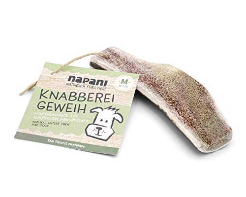 napani - Knabberei Geweih für Hunde, natürlicher Knabbersnack, Leckerli für Hunde, natürliche Zahnpflege, geruchsarm & mineralreich, M - Hund 15 bis 25 kg napani - Knabberei Geweih für Hunde, natürlicher Knabbersnack, Leckerli für Hunde, natürliche Zahnpflege, geruchsarm & mineralreich, M - Hund 15 bis 25 kg von napani