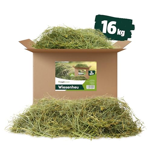 napfpower 5 kg Heu direkt vom Hof | 1. Schnitt Wiesenheu aus Bayern | hochwertiges & unbehandeltes Heu für Futter & Einstreu von Kaninchen, Hamster, Meerschweinchen & Hasen napfpower 5 kg Heu direkt vom Hof | 1. Schnitt Wiesenheu aus Bayern | hochwertiges & unbehandeltes Heu für Futter & Einstreu von Kaninchen, Hamster, Meerschweinchen & Hasen von napfpower